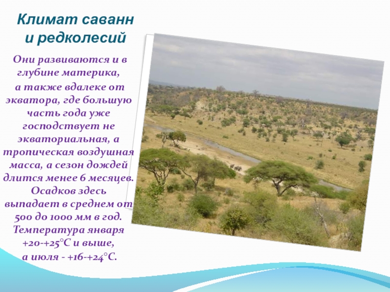 Редколесья природная зона. Климат саванны. Саванны и редколесья климат. Климат зоны саванн. Климатические условия саванны и редколесья.