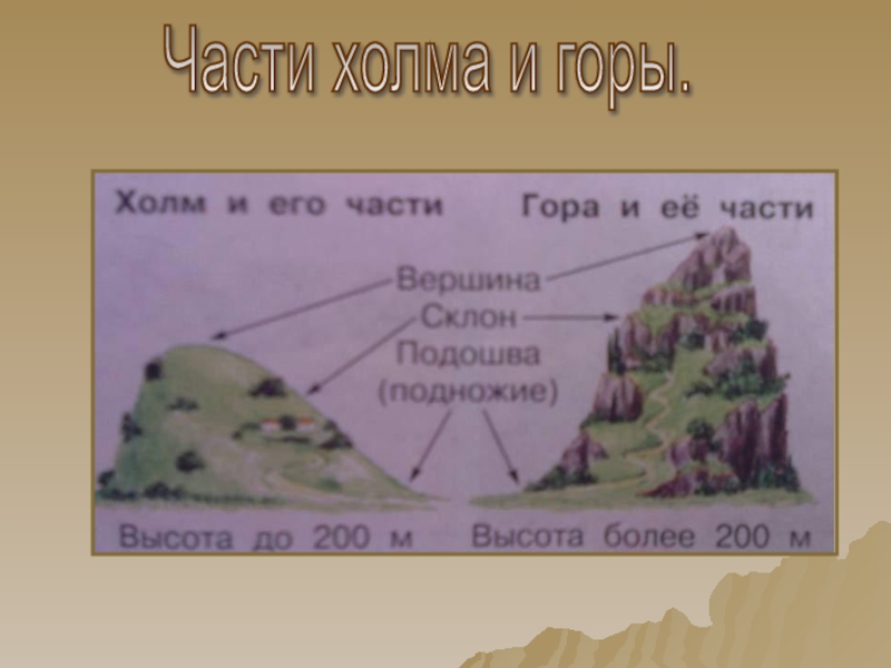 Схема холма 2 класс окружающий мир