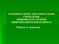 Влияние окружающей среды на человека