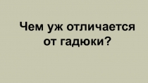 Чем уж отличается от гадюки?