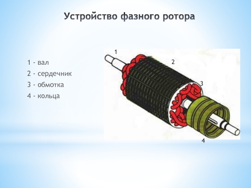 Фазный ротор рисунок