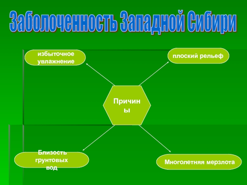 Объясните причины сильной заболоченности западной сибири равнины начертив соответствующую схему