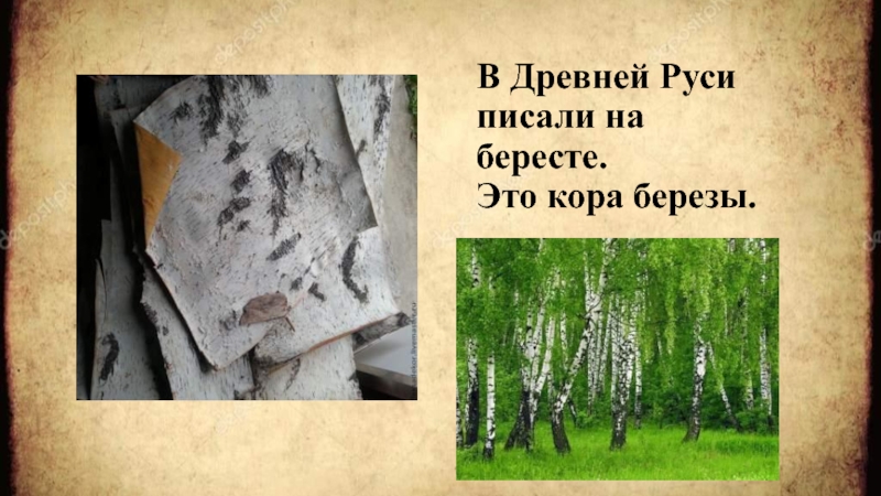 Руси пишется с большой буквы. Чем писали на Руси. Писали в школах древней Руси на коре березы. Писать на коре от берёзы.