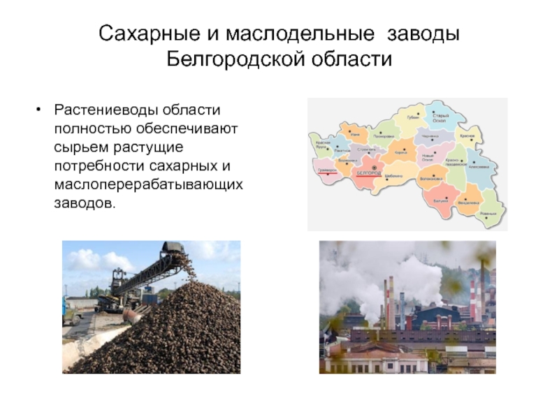 Сахарные и маслодельные заводы Белгородской областиРастениеводы области полностью обеспечивают сырьем растущие потребности сахарных и маслоперерабатывающих заводов.