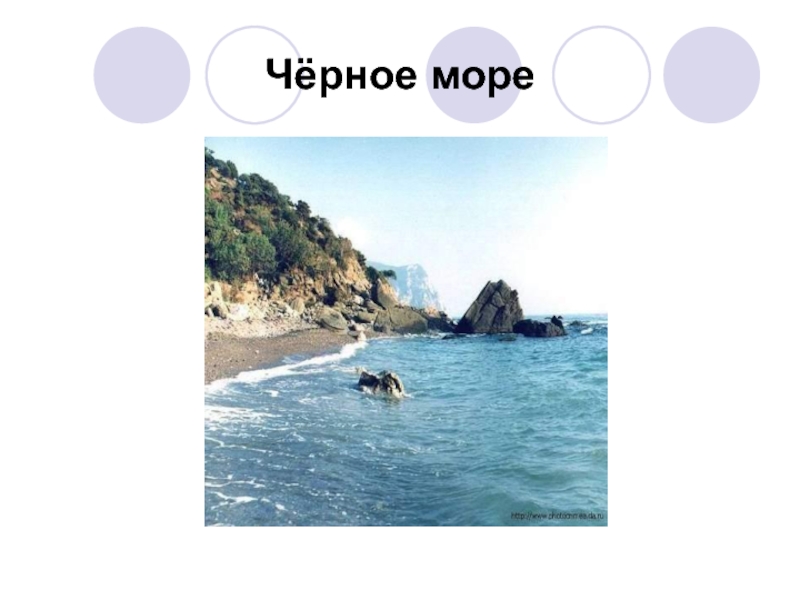 Проект цветные моря