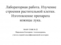 Изучение строения растительной клетки. Изготовление препарата кожицы лука