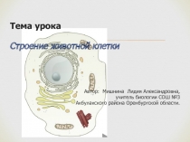 Строение животной клетки 6 класс