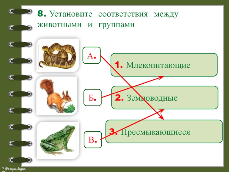 Проверочная работа окружающий мир 2 класс животные. Задания на соответствие по биологии. Земноводные задачи. Задания по земноводные 1 класс. Задание на соответствие по окружающему миру.