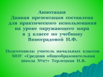 Животные - живые существа. Классификация животных по способу питания 3 класс