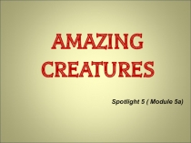Amazing Creatures 2 класс