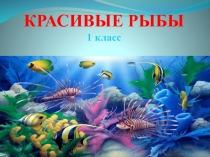 Красивые рыбы 1 класс