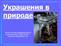 Украшения в природе 2 класс