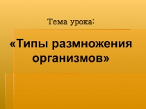 Типы размножения организмов