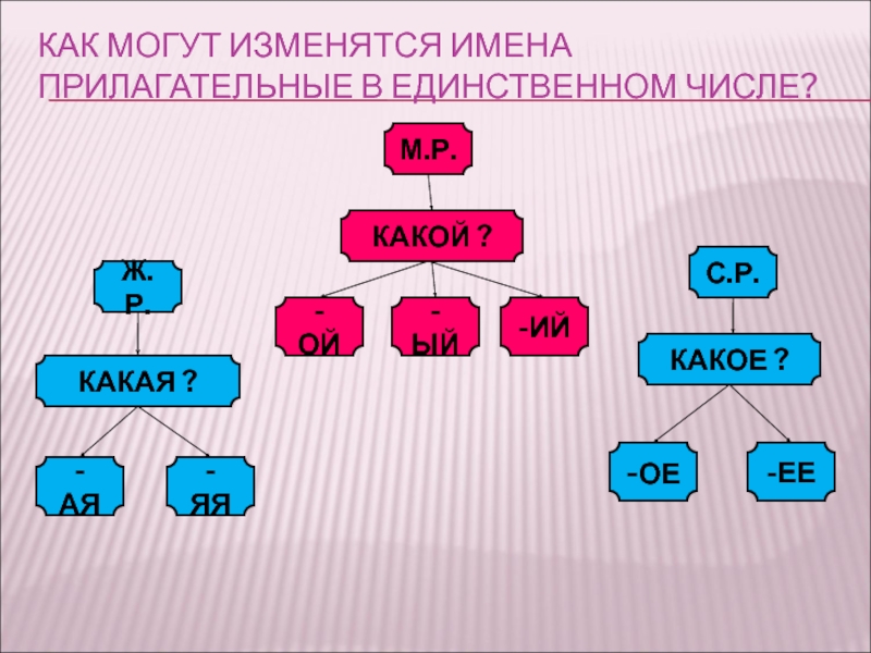 Как изменяются прилагательные