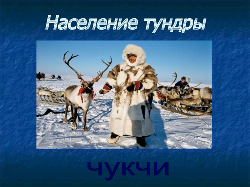 План люди в тундре