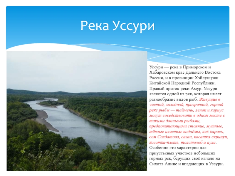 Река УссуриУссу́ри — река в Приморском и Хабаровском крае Дальнего Востока России, и в провинции Хэйлунцзян Китайской