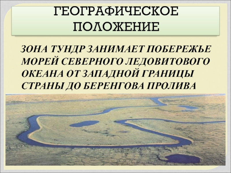 Зона тундры занимает Северное побережье России параграф 35. Положение зоны тундры на карте Спутник. Характеристика арктических пустынь и тундры