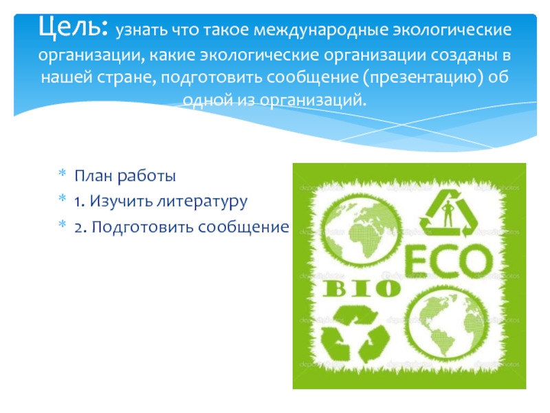 Региональные экологические организации. Экологические организации. Международные экологические организации. Цели экологических организаций. Экологические организации в России.