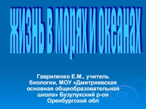 Жизнь в морях и океанах