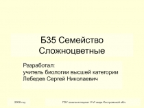 Семейство Сложноцветные 6 класс