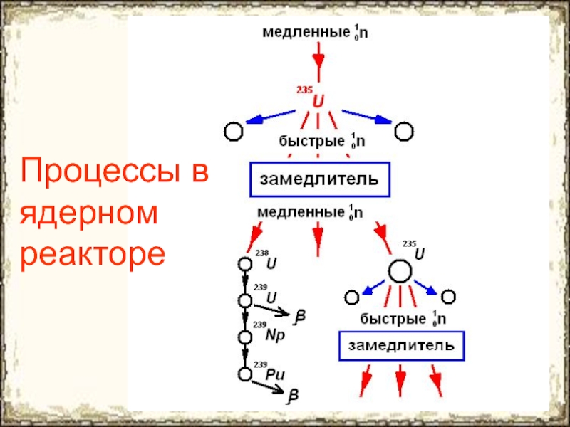 Процессы в ядерном реакторе схема