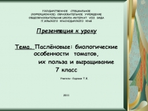 Паслёновые: биологические особенности  томатов, их польза и выращивание 7 класс