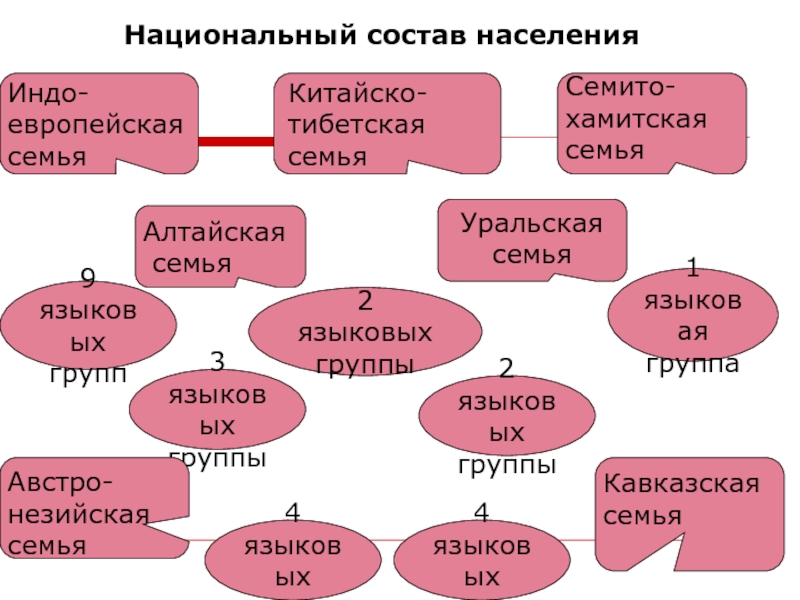 На языках алтайской семьи говорят