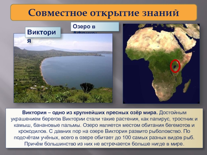 Самое крупное пресное озеро в мире. Пресные озера Африки. Сообщение о озере Африки.
