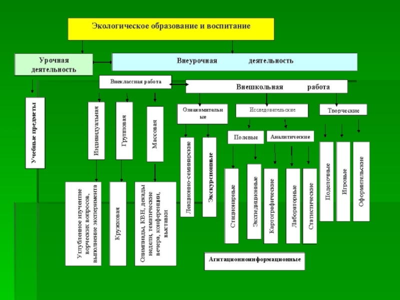 Управления экологическим образованием. Экологическое образование. Экологическое образование в России.