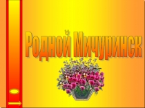 Родной Мичуринск