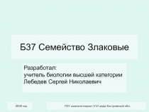 Семейство Злаковые 6 класс