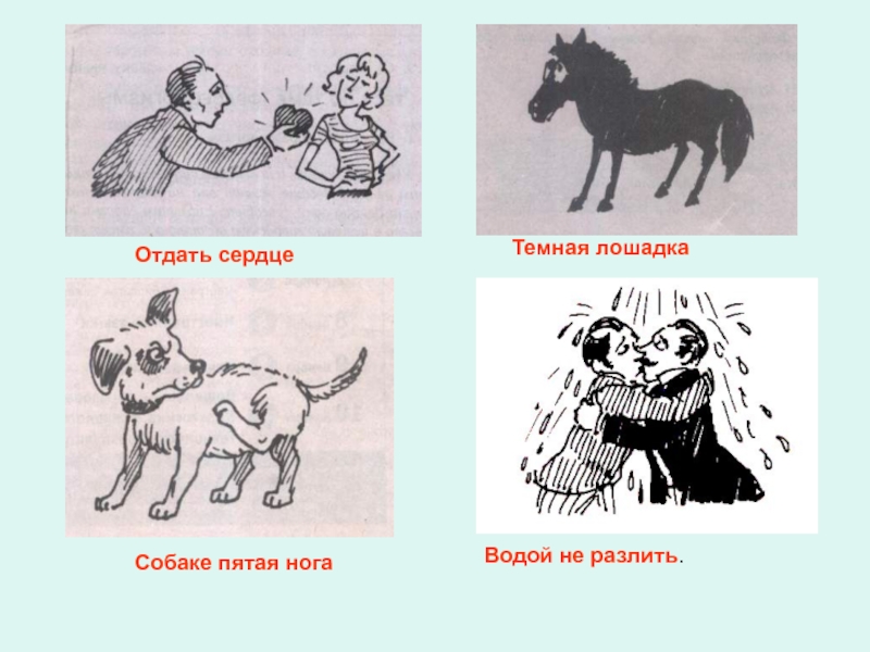 Пятая нога. Нужен как собаке пятая нога. Как собаке пятая нога значение фразеологизма. Как собаке пятая нога значение. Фразеологизм нужен как собаке пятая нога.