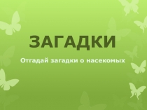 Загадки. Отгадай загадки о насекомых 1 класс