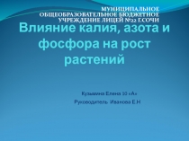 Влияние калия, азота и фосфора на рост растения 10 класс