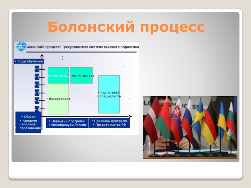 Болонская система оценки. Болонский процесс. Болонский процесс картинки. Болонская система образования в России. Флаг болонской группы.