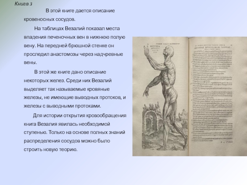 Везалий орша. Письма о кровопускании андреас Везалий. Послание о кровопускании Везалий. Красникова Светлана Николаевна Везалий. Значение Везалия в медицине.