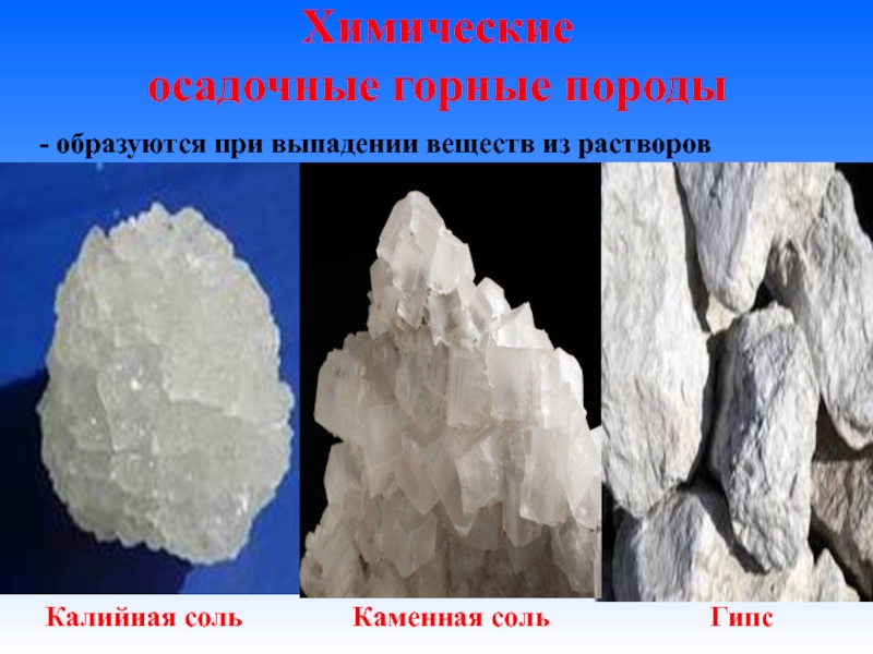 Примеры химических горных пород. Калийная соль осадочная Горная. Каменная соль осадочная порода. Осалочная Горная погода каменый соль. Каменная соль Горная порода.