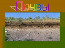 Почвы