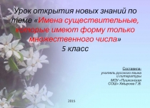 Имена существительные, которые имеют форму только множественного числа 5 класс