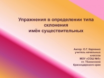 Упражнения в определении типа склонения имён существительных