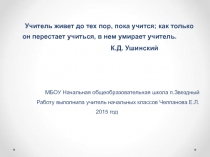 Технология работы учителя на уроках в инклюзивном классе