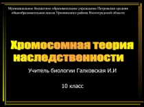 Хромосомная теория наследственности 10 класс