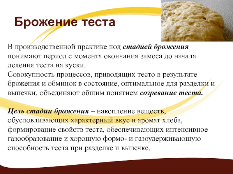 Реферат: Микрофлора хлебобулочных и кондитерских изделий