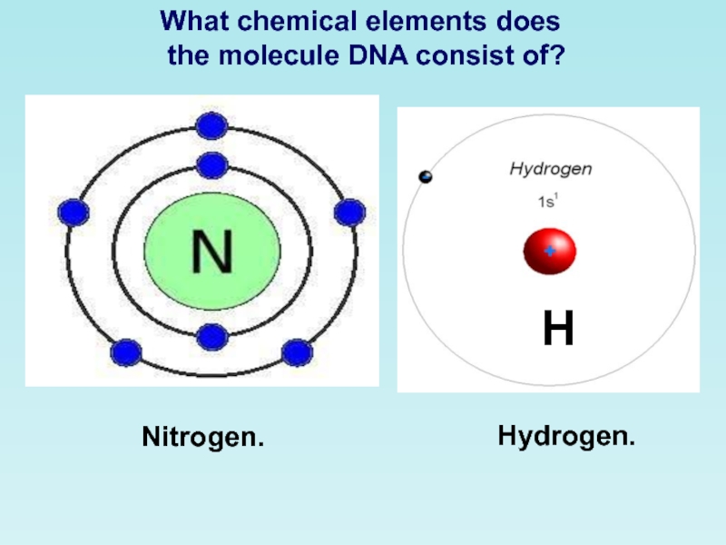 What element are you. Гидроген элемент. What element does Cyno use.