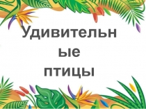 Удивительные птицы 1 класс