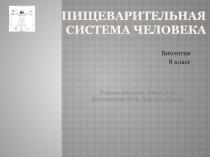 Пищеварительная система человека 8 класс