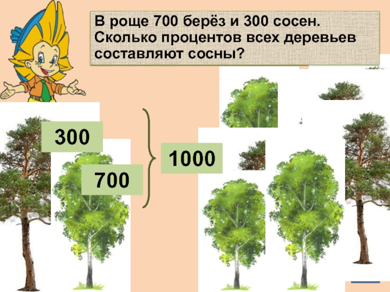 Процент леса. Сколько всего деревьев. В роще 700 берёз и 300 сосен. В роще 700 берез и 300 сосен сколько процентов деревьев составляют сосны. 700 Берёза 300 сосен.