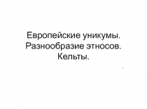 Европейские уникумы. Разнообразие этносов. Кельты 11 класс