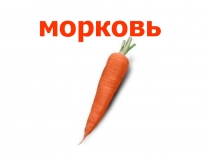 ОВОЩИ