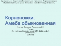 Корненожки. Амеба обыкновенная 7 класс